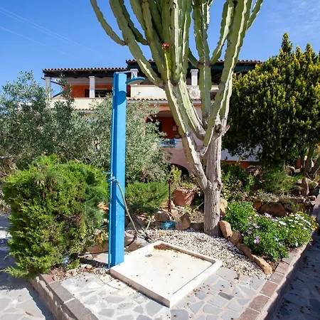 Alloro * カーラ・リベロット